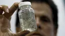 Petugas kesehatan Willian Araya memperlihatkan larva Aedes aegypti di laboratorium Kementerian Kesehatan San Jose, Kosta Rika, (27/1).  Zika ditandai dengan gejala seperti ruam, demam, rasa sakit pada sendi, dan mata merah. (REUTERS / Juan Carlos Ulate)
