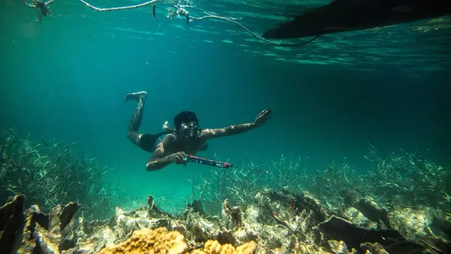 Wakatobi