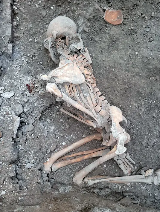 Para peneliti mengatakan dua kerangka itu merupakan pria paruh baya yang meninggal dalam gempa bumi selama letusan gunung Vesuvius yang mengubur kota Italia. (Handout/Parco Archeologico di Pompei press office/AFP)