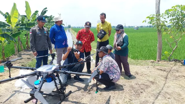 Petani poakai drone
