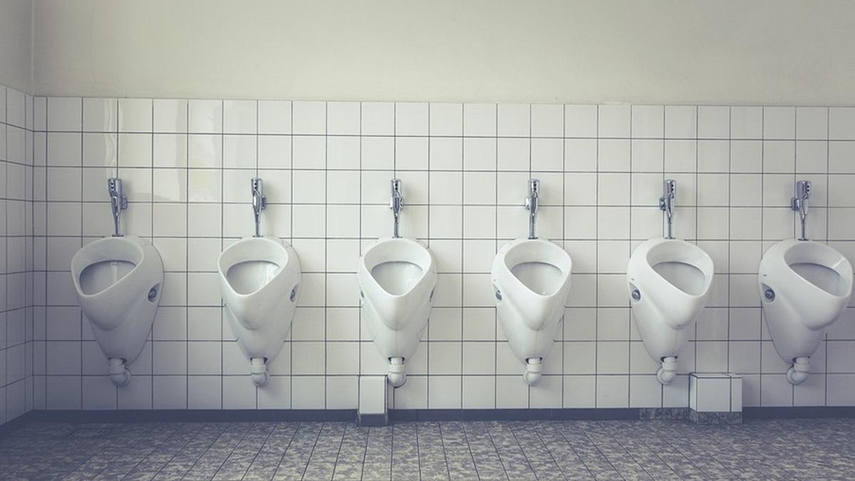 Proses Pembentukan Urine Pada Manusia Dan Mengenal Sistem Kemih