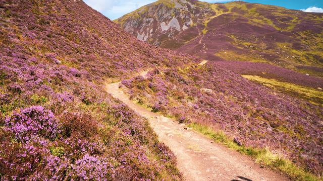 Cairngorms National Park