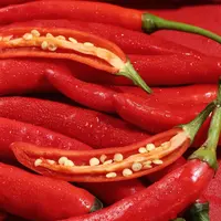 Cara Simpan Cabai yang Benar Agar Awet Lebih dari Sebulan Tanpa Harus Dibekukan (Instagram/@devi_novi)