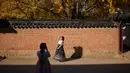 Seorang wanita mengenakan pakaian tradisional hanbok berpose saat difoto di bawah pohon ginkgo di istana Gyeongbokgung di Seoul (31/10). Pohon ini dikenali mirip dengan fosil 270 juta tahun lalu. (AFP Photo/Ed Jones)