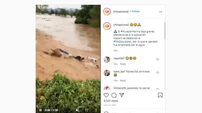 Cek Fakta Liputan6.com menelusuri klaim video sejumlah sapi hanyut terbawa arus banjir NTT