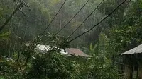Pangkal pohon tumbang adalah terjangan angin kencang yang melanda Manado dan sekitarnya. (Liputan6.com/Yoseph Ikanubun)