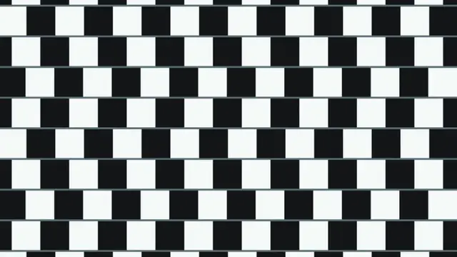 6 Ilusi Optik Bentuk Papan Catur Hitam Putih Ini Bikin Pusing