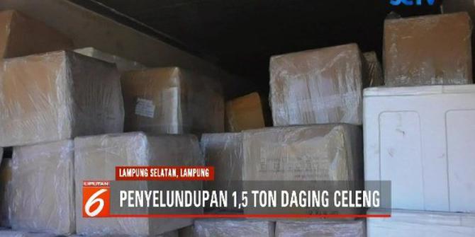 Penyelundupan 1,5 Ton Daging Celeng di Lampung Digagalkan Petugas