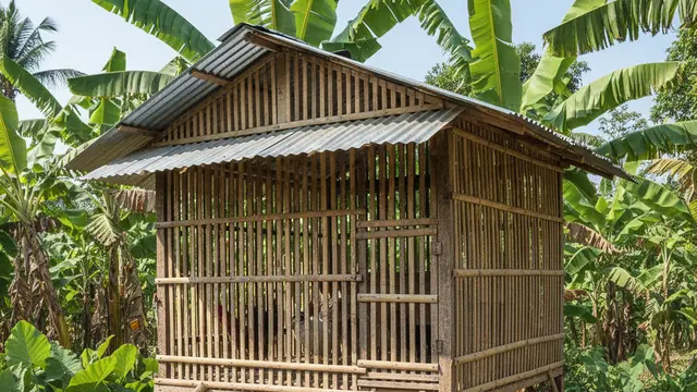 Desain Kandang Ayam Kampung Produktif. AI