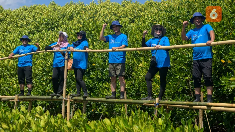 KEHATI dan Sankyu tanam 3.000 mangrove di pesisir Makassar (Liputan6.com/Fauzan)