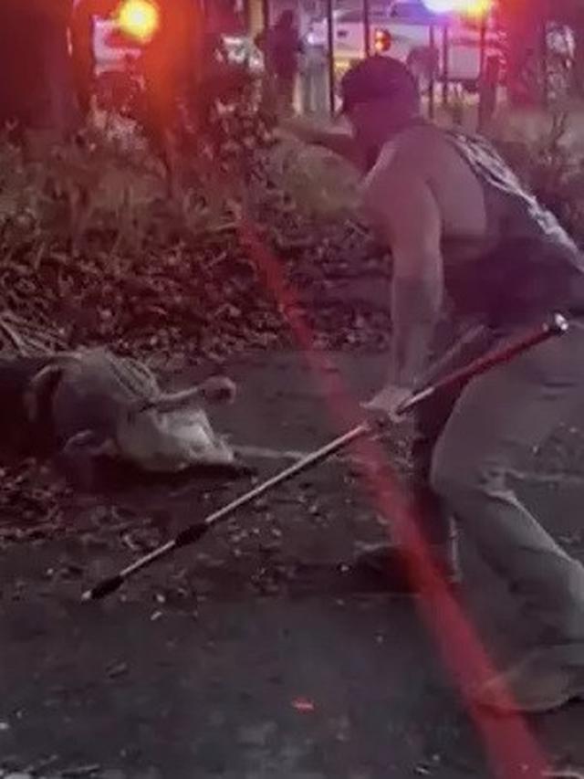 Aksi Petarung MMA Bergulat dengan Buaya