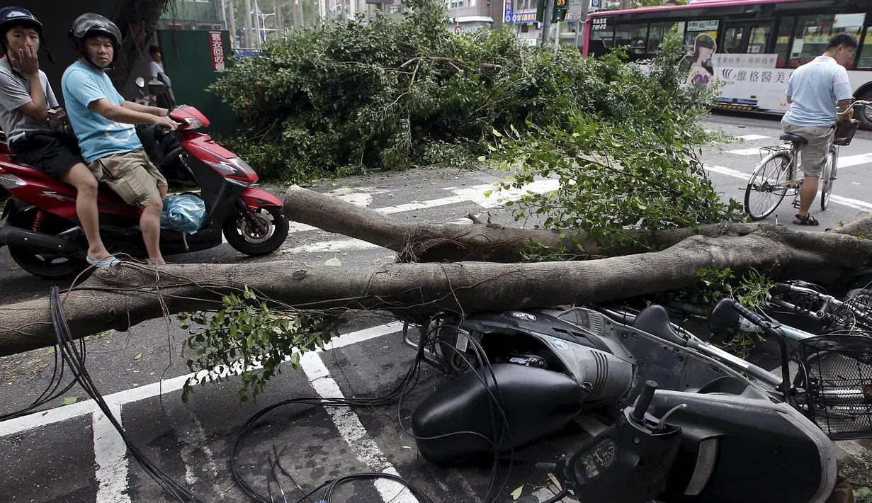 Dua pengendara motor melewati pohon yang tumbang dan sepeda motor yang rusak akibat Topan Dujuan di Taipei, Taiwan, Selasa (29/9/2015). 24 orang mengalami cedera akibat topan raksasa Dujuan. (REUTERS/Pichi Chuang)