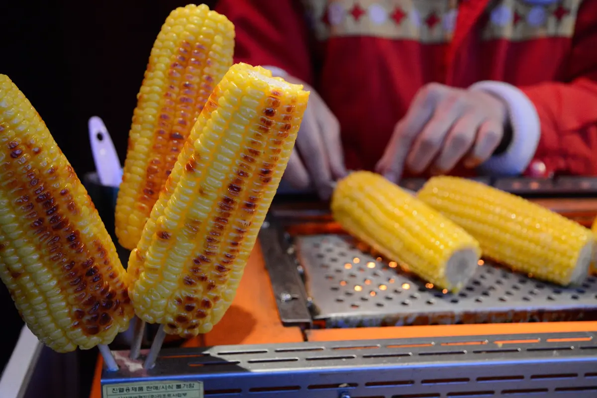 Jagung bakar