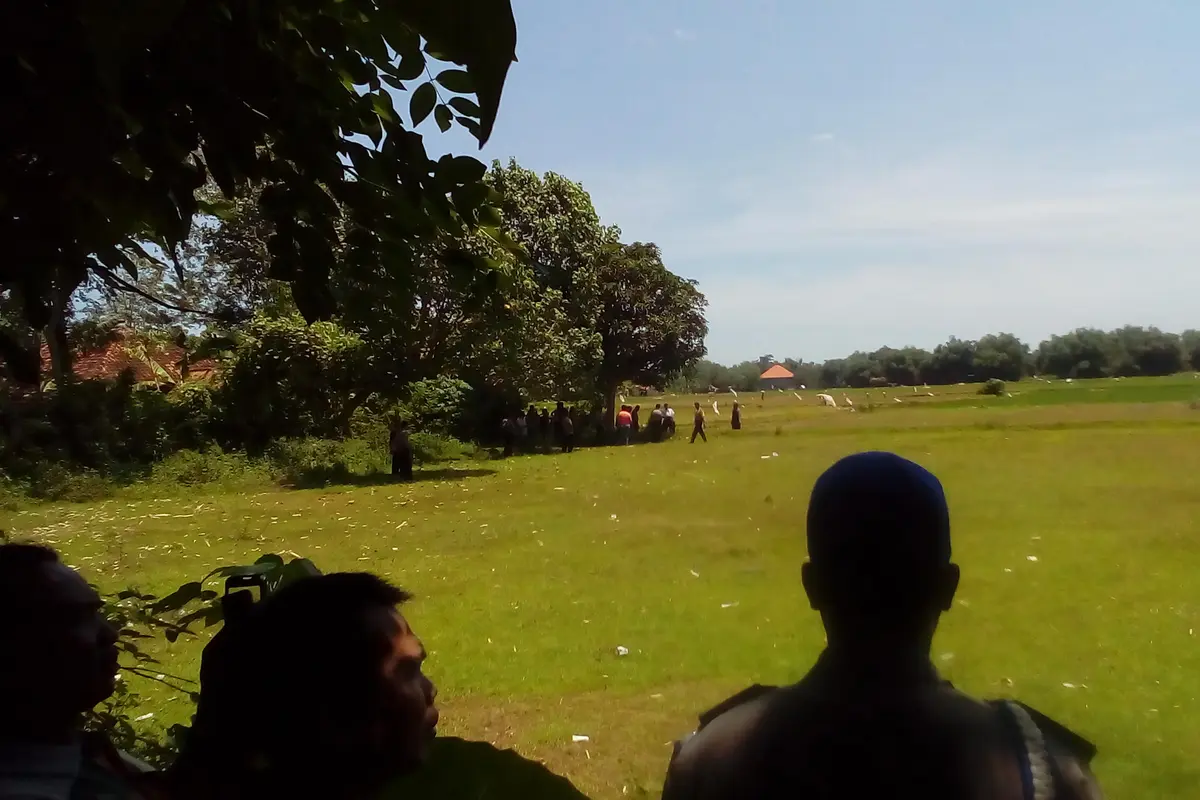 Misteri Jasad di Bawah Pohon Mangga dan 2 Pembunuhan Terpisah