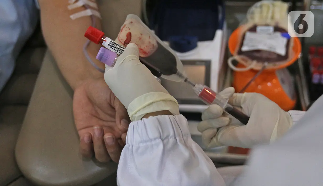 Petugas mengambil darah pendonor di kantor PMI DKI Jakarta, Jumat (20/3/2020). Dampak meluasnya Virus Corona COVID-19, stok darah di PMI Jakarta menurun 60 - 70 persen hingga membuat pihak rumah sakit membuka donor darah atau mengirim pendonor ke PMI. (Liputan6.com/Herman Zakharia)