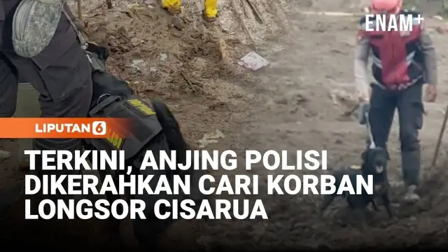 Anjing Polisi Dikerahkan Cari Korban Longsor Cisarua