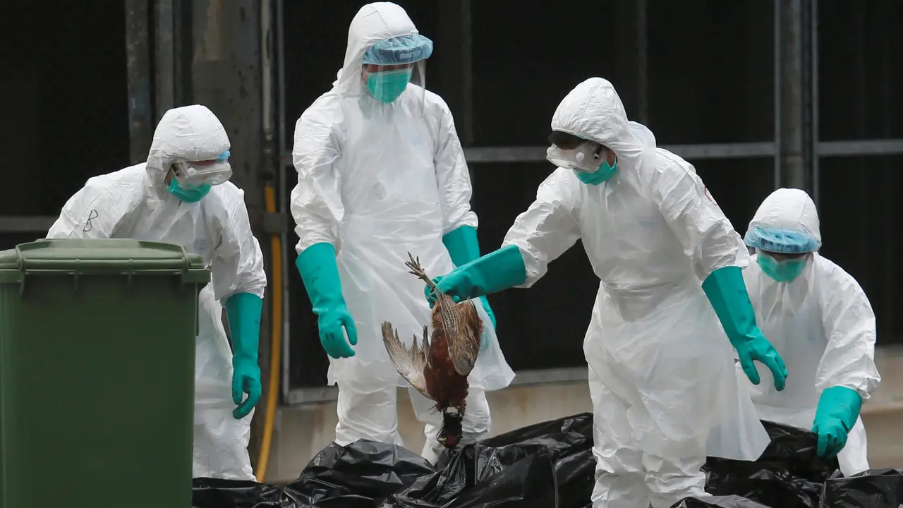 20160607-Flu-Burung-Hongkong-Reuters