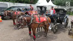 Kereta kencana yang akan digunakan dalam pernikahan Kahiyang Ayu dan Bobby Nasution tiba di Graha Saba, Solo, Selasa (7/11). Jelang pernikahan putri Presiden Jokowi,  kereta kencana disiapkan untuk mengantar Kahiyang dan Bobby. (Liputan6.com/Angga Yuniar)