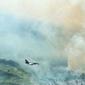 Kebakaran lahan di Riau yang pernah terpantau oleh patroli pesawt tempur dari Pekanbaru. (Liputan6.com/M Syukur)