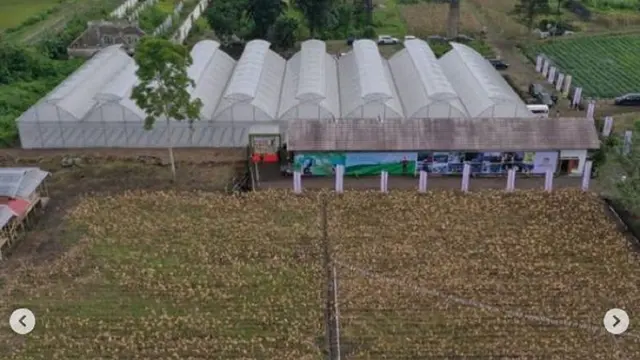 Green House