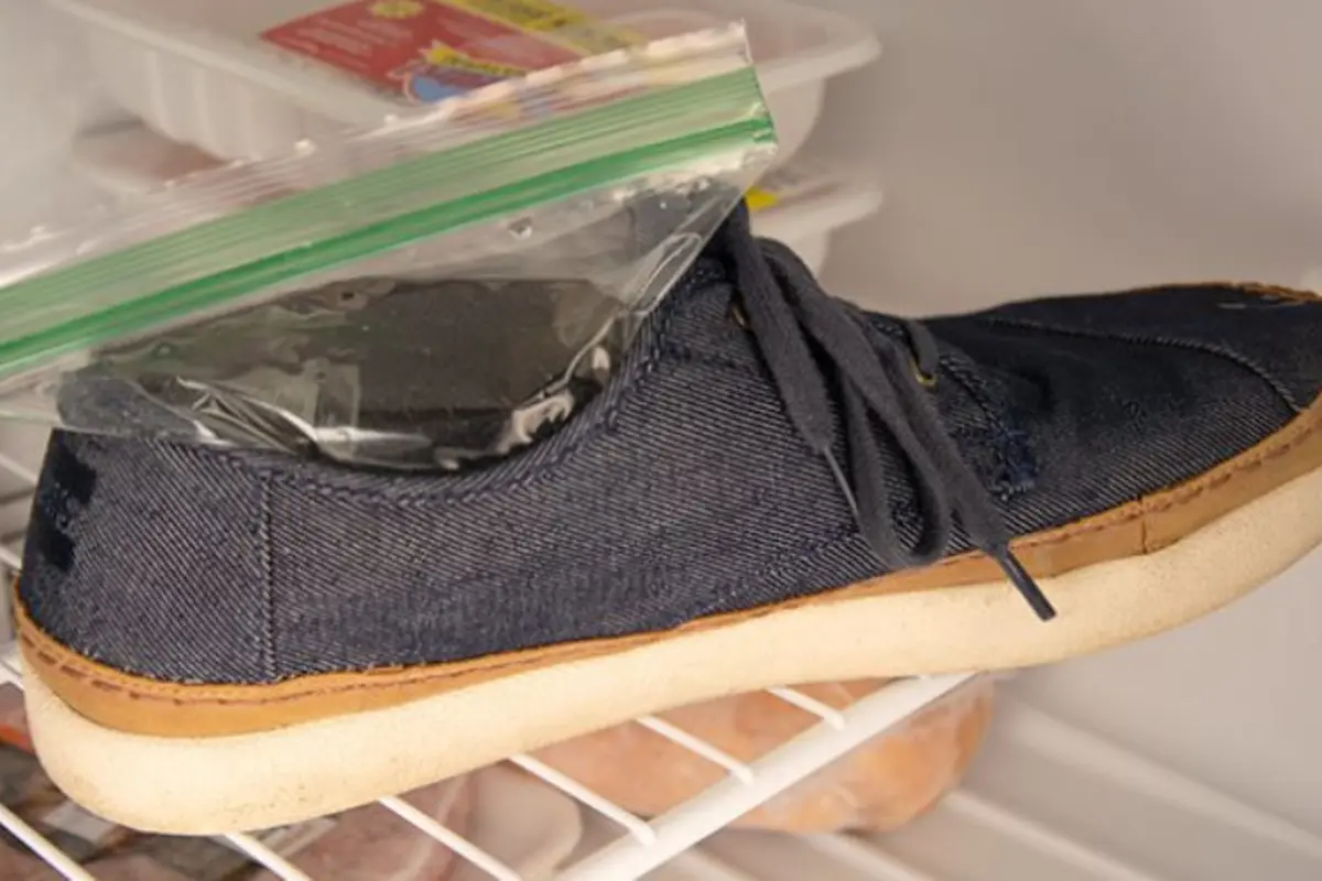 Mengawetkan Foto hingga Jeans, 6 Manfaat Freezer yang Tak Kamu Ketahui