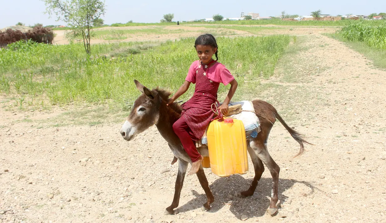 Seorang anak perempuan pengungsi internal Yaman tiba dengan menunggang keledai di tempat penampungan air untuk mengisi jeriken di Distrik Abs, Provinsi Hajjah, Yaman, 10 Oktober 2026. (Essa Ahmed/AFP)