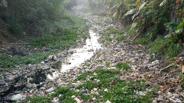 3.618 Hektare Sawah di Bekasi Kekeringan, Ribuan Petani Terancam Gagal Tanam