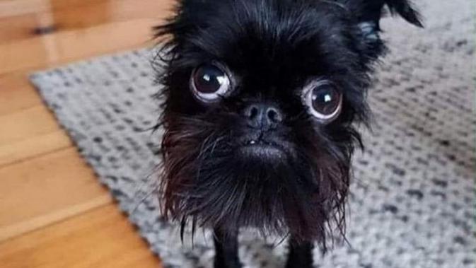 foto: @AjKaramba/Imgur