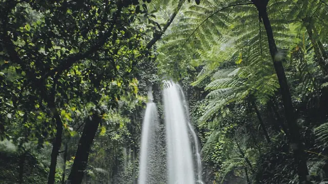 12 Tempat Wisata di Solo Terhits dan Instagramable yang Wajib Dikunjungi