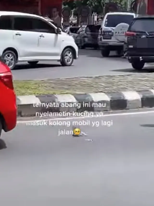 Driver ojol berlarian selamatkan kucing (Instagram/@memomedsos)