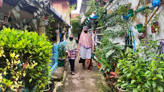 Pemukiman Kumuh di Palembang Disulap Jadi Kampung Sayur yang Asri