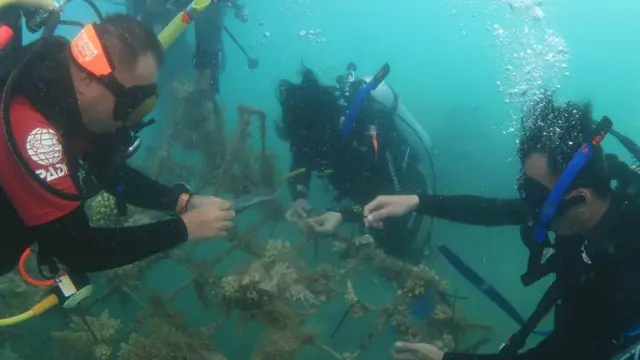 Program From Sea To Sea