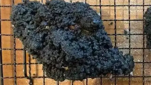 8 Potret Momen Apes Masak Ayam, Ada yang Gosong Hingga Jadi Abu