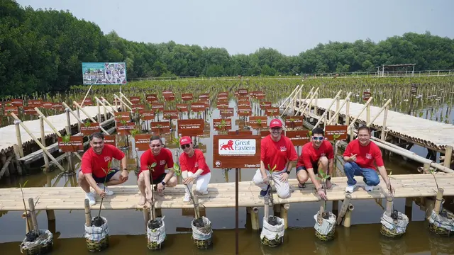 Great Eastern General Insurance Indonesia (GEGI) melaksanakan penanaman 1.000 bibit mangrove di pulau Pari, Kepulauan Seribu, yang diikuti oleh seluruh staf di Jakarta. (Dok Great Eastern)