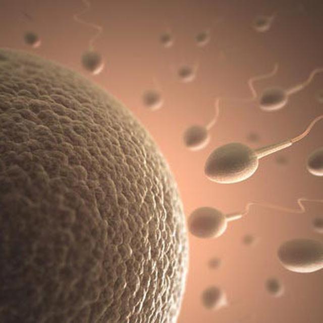 Perempuan 15 Tahun Positif Hamil Setelah Menelan Sperma Health Liputan6 Com