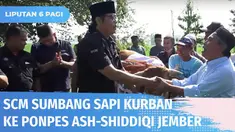PT Surya Citra Media atau SCM pada Minggu (10/07) siang menyumbang seekor sapi kepada Pondok Pesantren Ash-Shiddiqi, Kecamatan Balung, Jember. Sapi jenis limosin itu langsung disembelih dan dagingnya dibagikan ke para santri.