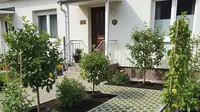 7 Desain Taman Depan Rumah yang Aman dari Akar Pohon Buah untuk Rumah Subsidi