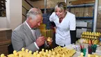 Pangeran Charles melukis sabun wangi  berbentuk bebek selama kunjungannya ke pabrik laboratorium Parfumerie Fragonard di Eze, dekat Nice, Prancis selatan, (7/5). (AFP Photo/Pool/Boris Horvat)