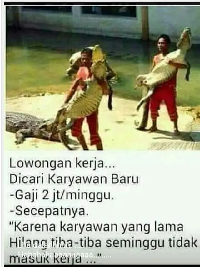 6 Status Facebook Info Lowongan Kerja Nyeleneh Ini Bikin Pelamar Garuk Kepala