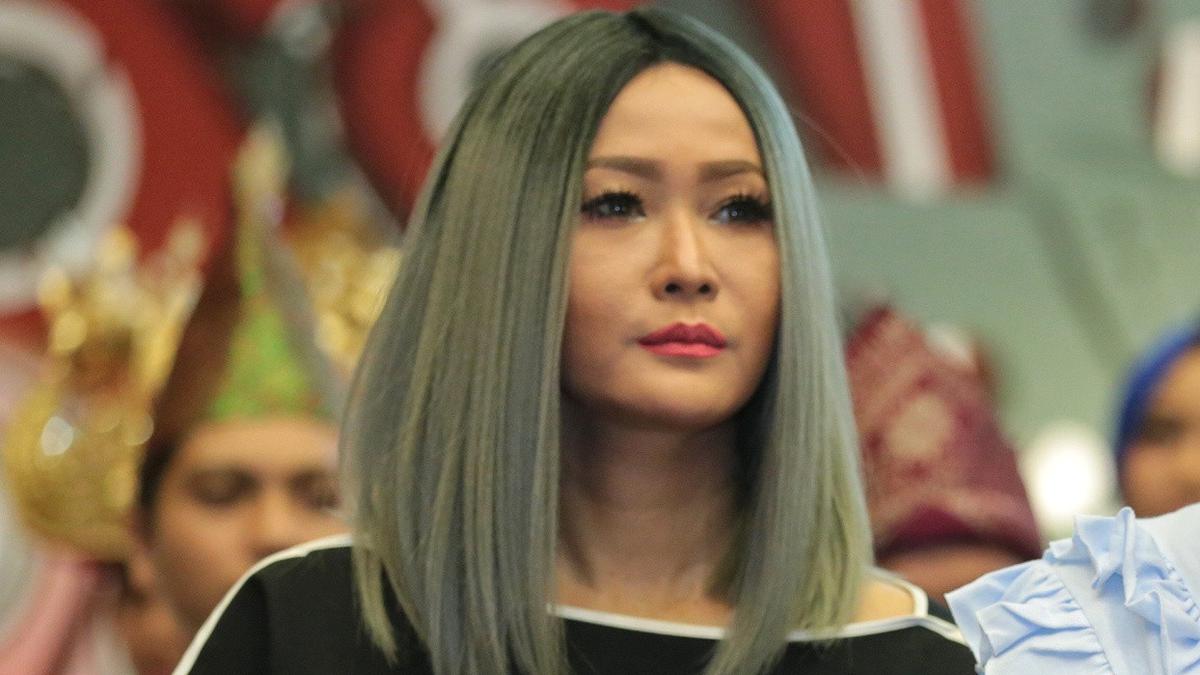 Inul Daratista Cerita Perjuangannya Hamil Bayi Tabung