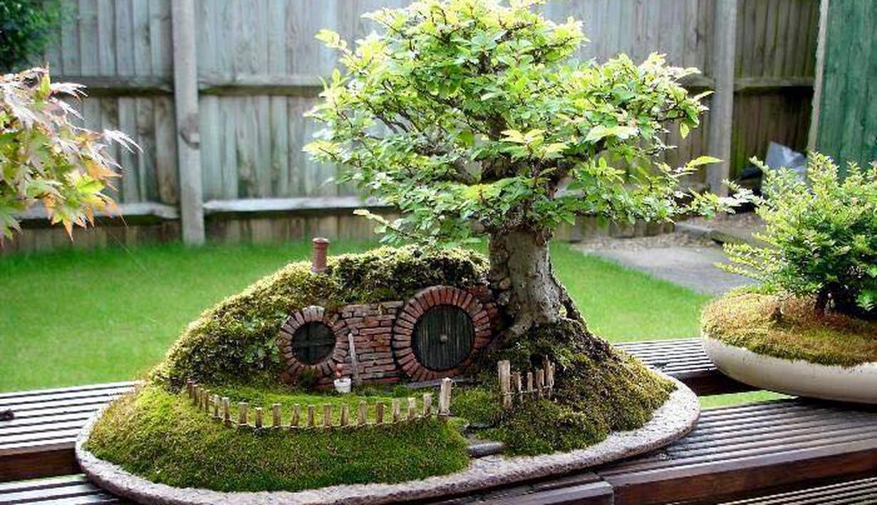 Taman Mini Sederhana Yang Unik Bikin Suasana Rumah Makin ...