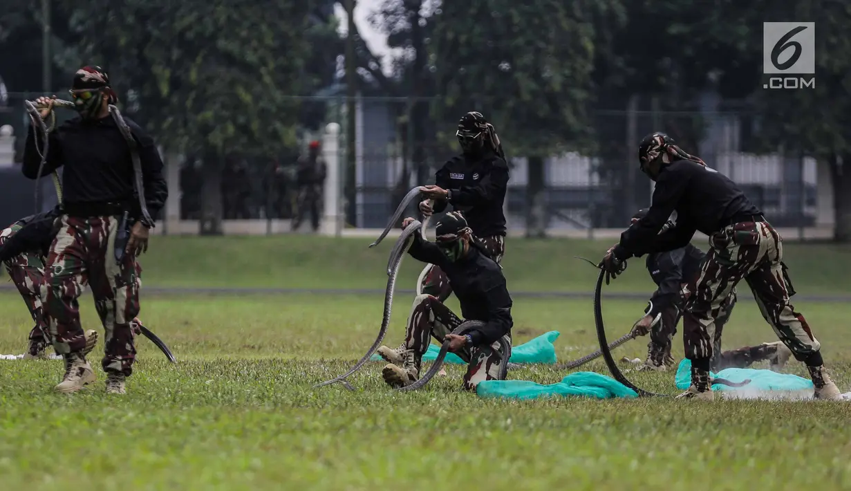 Seorang personel Komando Pasukan Khusus (Kopassus) memperagakan cara menjinakan ular kobra pada Upacara Penyerahan Satuan di Lapangan Mako Kopassus, Jakarta, Jumat (23/3). Satuan Kopassus resmi dipimpin Mayjen TNI Eko Margyono (Liputan6.com/Faizal Fanani)