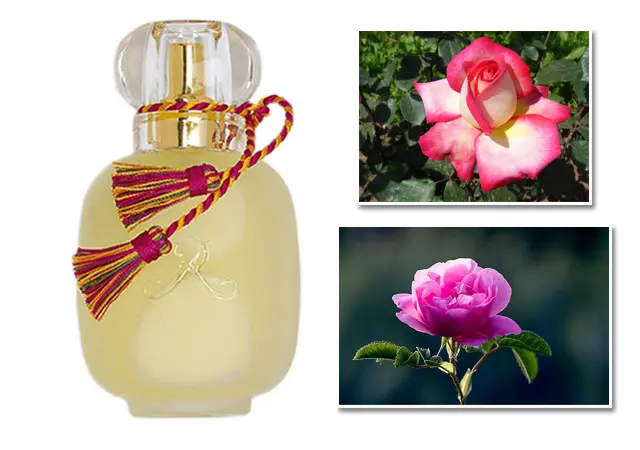 Rose Kashmirie by Les Parfums de Rosine