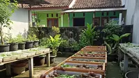 TOP 3: Usaha Ternak Tanpa Ganggu Tetangga hingga Cara Menghilangkan Bau Kecoa di Gelas