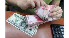 Ketergantungan Indonesia atas dana asing serta tingginya rasio pembayaran utang terhadap pendapatan atau debt service ratio (DSR) yang telah mencapai lebih dari 50 persen merupakan pemicu utama gejolak nilai tukar rupiah. Kondisi tersebut kerap menimbulka