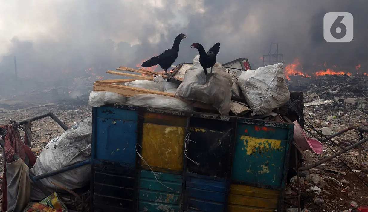 Kebakaran lapak pemulung di Bintara Jaya tersebut diduga disebabkan karena salah satu warga lupa mematikan kompor usai memasak. (merdeka.com/Imam Buhori)
