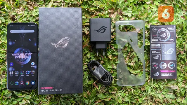 ROG Phone 5