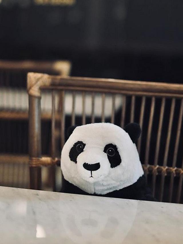Restoran di Thailand Gunakan Boneka Panda untuk Menjaga Jarak Para Pelanggan