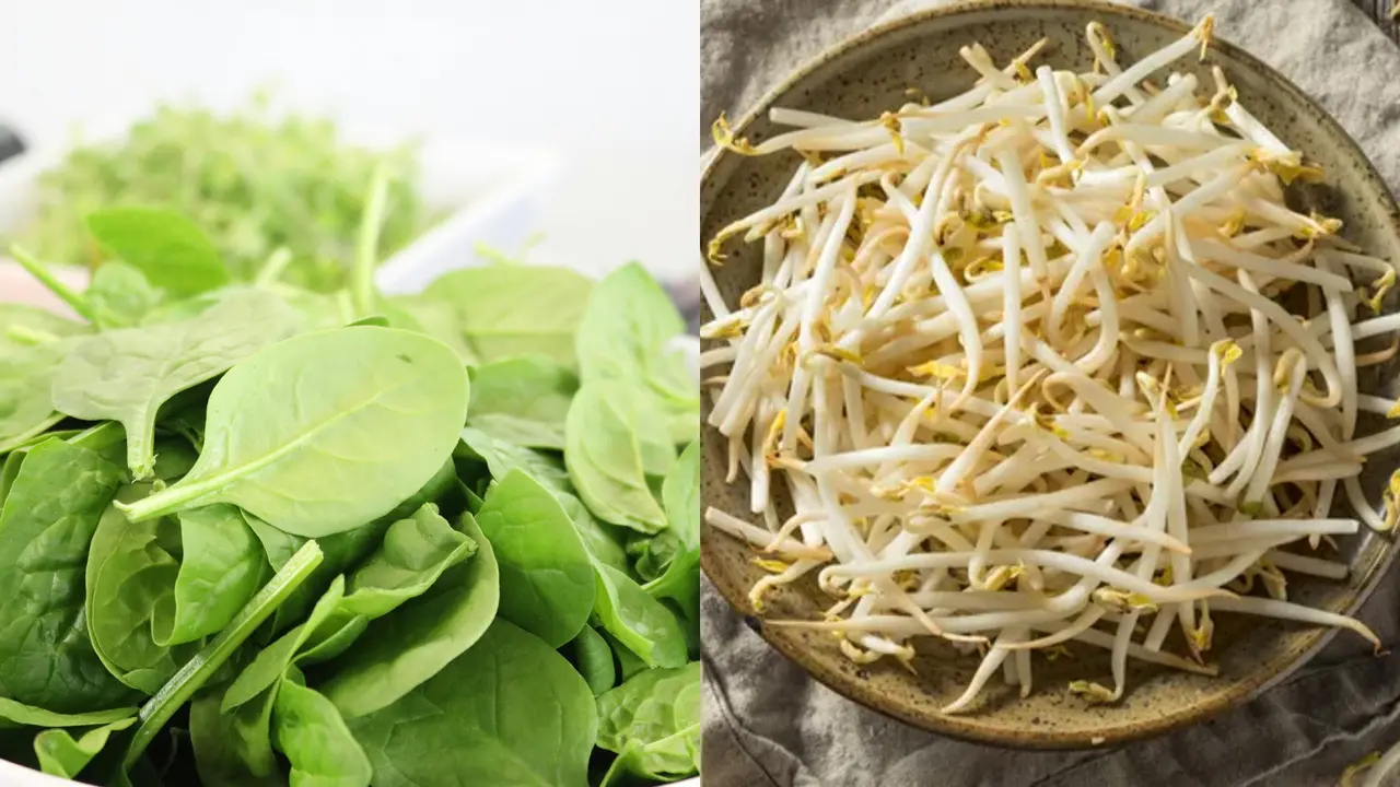 Rahasia Kangkung dan Tauge Bebas Pahit, Begini Cara Memasaknya yang Benar