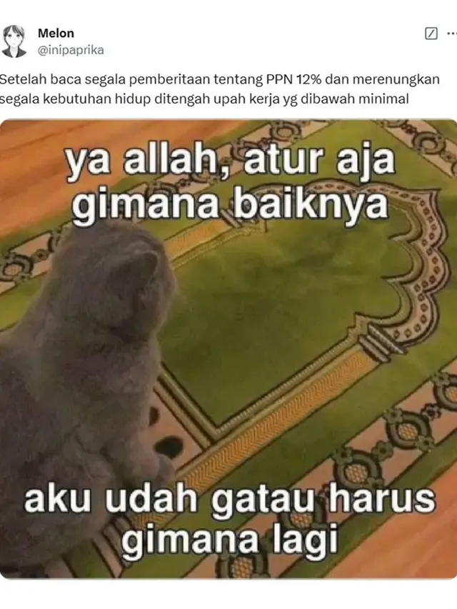 6 Curhatan Netizen Soal Kenaikan PPN 12 Persen Mulai 2025, Relate Banget